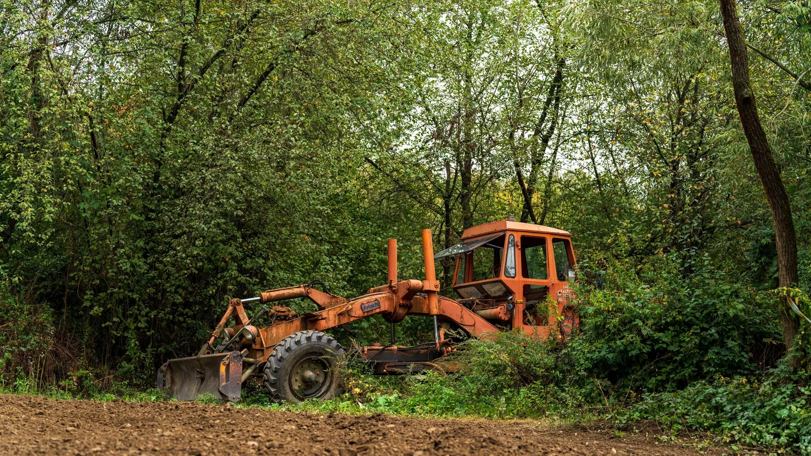 Overgrown wooded lot partially cleared of brush and saplings in metro Atlanta