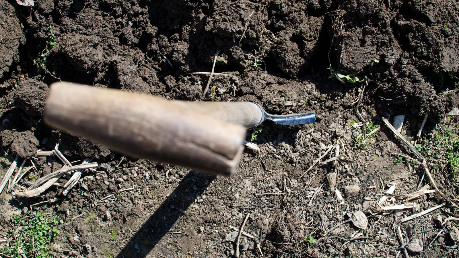 Compact track loader grading and levelling red clay soil on a residential lot in metro Atlanta