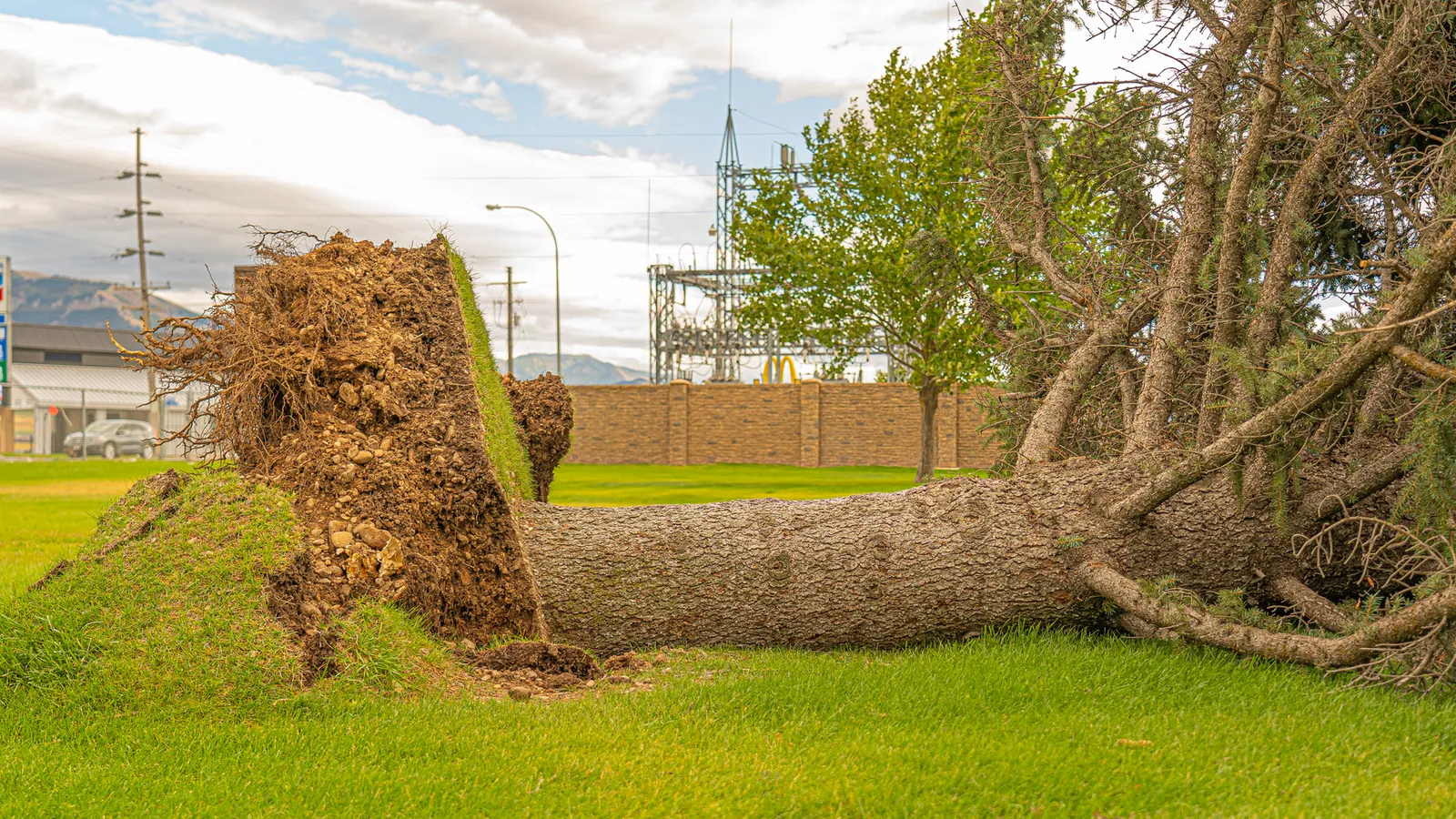 Fallen tree and storm debris being cleared from a residential property after a Georgia storm